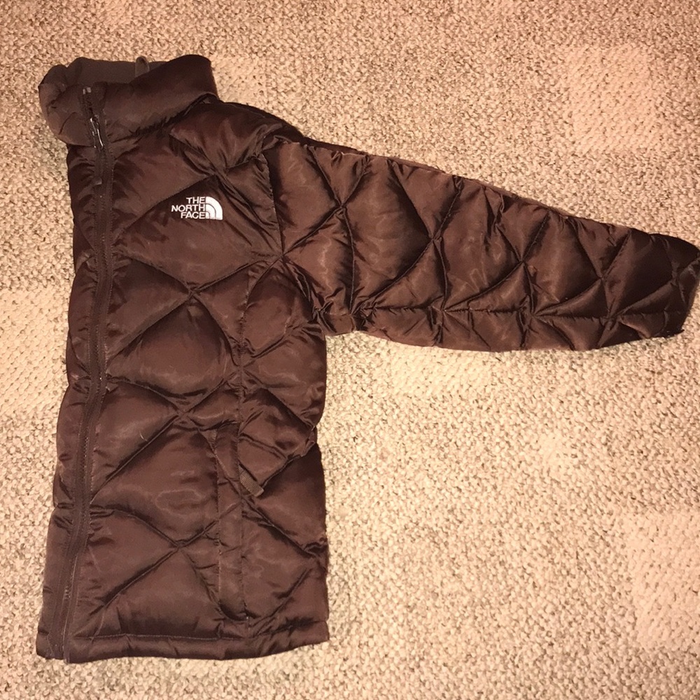Brown North face Jacket